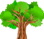 Tree - sturdy